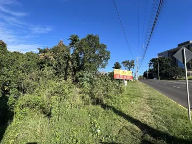 Lote/Terreno à venda, 391m² no Cidade Nova, Ivoti