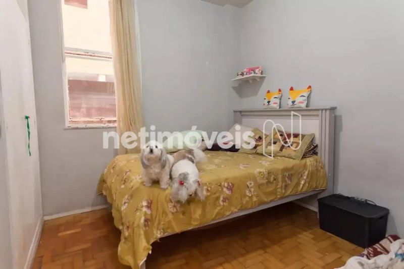 Foto 21