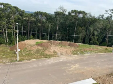 Lote/Terreno à venda, 546m² no São Giácomo, Caxias do Sul