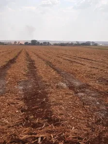 Fazenda/Sítio com 1 Quarto à venda, 1011560m² no , Morro Agudo