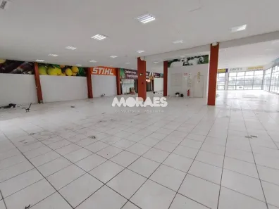 Galpão/Depósito/Armazém para alugar, 3000m² no Vila Cardia, Bauru