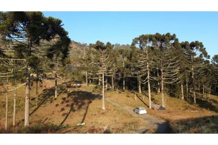 Lote/Terreno à venda, 70000m² no , Bom Retiro