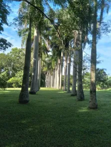 Fazenda/Sítio com 3 Quartos à venda, 400m² no Área Rural de Limeira, Limeira