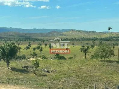 Fazenda/Sítio à venda, 500m² no , Bannach