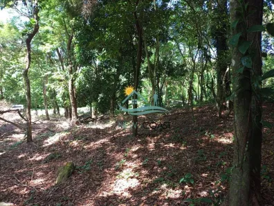 Lote/Terreno à venda, 5000m² no Toque-Toque Grande, São Sebastião