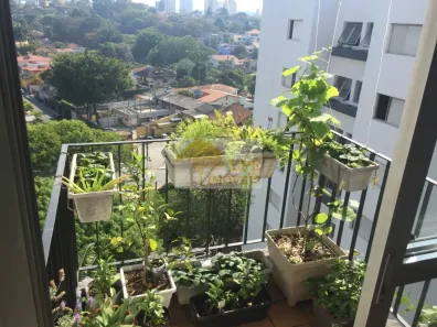 Apartamento com 2 Quartos à venda, 65m² no Vila Progredior, São Paulo