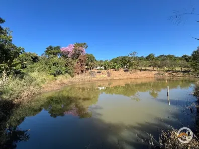 Fazenda/Sítio com 2 Quartos à venda, 10000m² no Estacao Central, Bonfinópolis