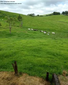 Fazenda/Sítio com 3 Quartos à venda, 10m² no Parque Florianópolis, Jaguariúna