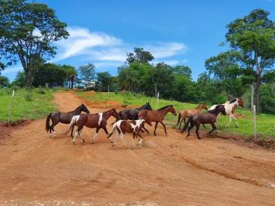 Lote/Terreno à venda, 20000m² no Universitário, Sete Lagoas
