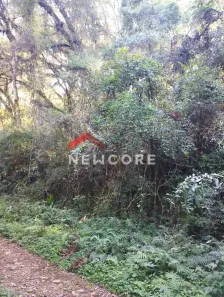 Lote/Terreno à venda, 567m² no Centro, São Francisco de Paula