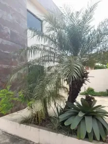 Casa com 4 Quartos à venda, 180m² no Parque Tamariz, Iguaba Grande