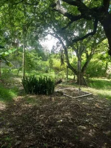 Lote/Terreno à venda, 1440m² no Pai André, Nossa Senhora do Socorro