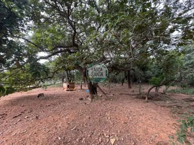 Lote/Terreno à venda, 5000m² no Quintas da Lagoa, Lagoa Santa