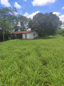Fazenda/Sítio com 6 Quartos à venda, 400000m² no , Monte Alegre