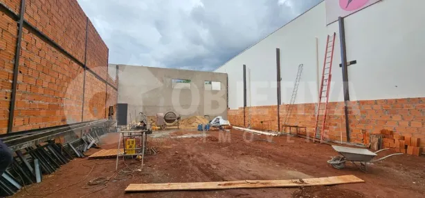 Galpão/Depósito/Armazém para alugar, 260m² no Santa Mônica, Uberlândia