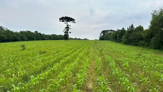 Lote/Terreno à venda, 29700m² no Umbará, Curitiba