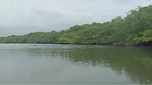 Lote/Terreno à venda, 1300m² no Panaquatira, São José de Ribamar
