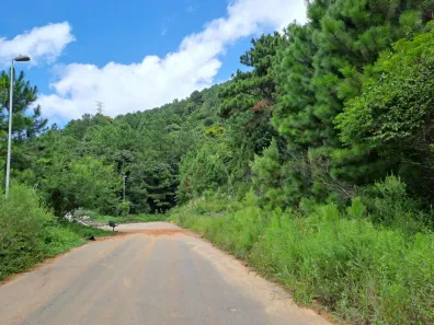 Lote/Terreno à venda, 12m² no Itacorubi, Florianópolis