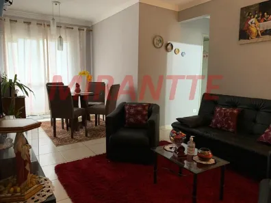 Apartamento com 3 Quartos à venda, 74m² no Vila Amélia, São Paulo