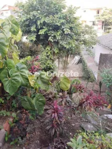 Lote/Terreno à venda, 291m² no Vila Curuçá, Santo André