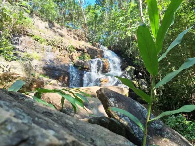 Lote/Terreno à venda, 600m² no Bosque do Jaguari, Igaratá