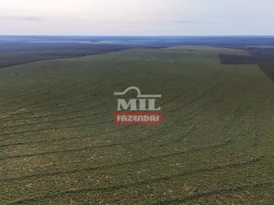 Fazenda/Sítio à venda, 500m² no , Nova Ubiratã