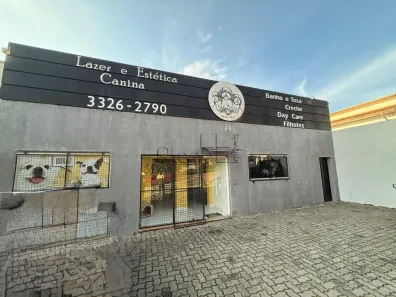 Imóvel Comercial com 2 Quartos à venda, 200m² no Jardim Proença, Campinas