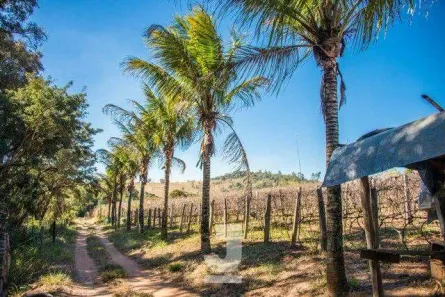 Fazenda/Sítio com 10 Quartos à venda, 200m² no Mato Dentro, Atibaia