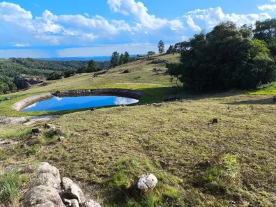 Fazenda/Sítio à venda, 23623m² no Balsa Nova, Balsa Nova