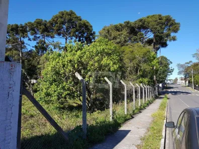 Lote/Terreno à venda, 5856m² no Cambuí, Campo Largo