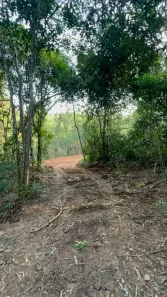 Lote/Terreno à venda, 20000m² no Itapeti, Mogi das Cruzes