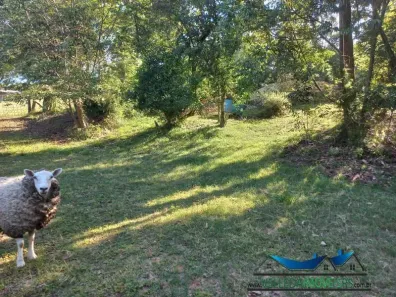 Fazenda/Sítio à venda, 2500m² no Área Rural de Águas Claras, Viamão
