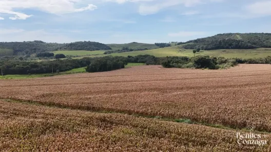 Fazenda/Sítio à venda, 10m² no Leste, Marialva