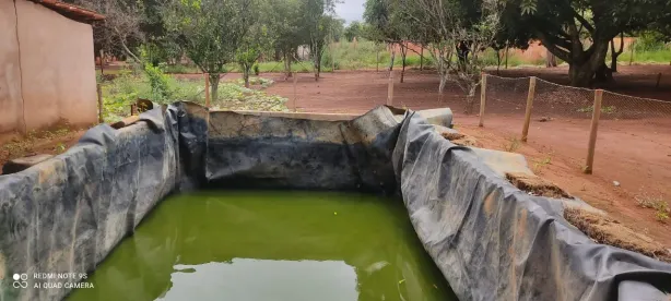 Fazenda/Sítio com 2 Quartos à venda, 11300m² no Setor Norte, Planaltina
