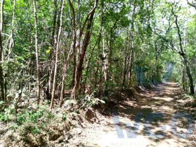 Fazenda/Sítio à venda, 20000m² no , Abadiânia