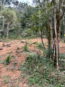 Lote/Terreno à venda, 20000m² no Quatro Barras, Quatro Barras