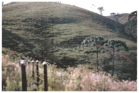 Lote/Terreno à venda, 23570m² no Jd do Embaixador, Campos do Jordão