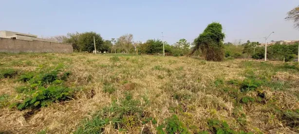 Lote/Terreno para alugar, 370m² no Alto da Boa Vista, Ribeirão Preto