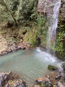 Fazenda/Sítio com 4 Quartos à venda, 300m² no , Andradas