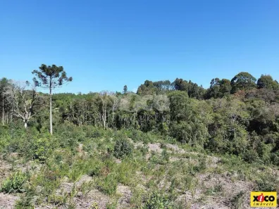 Fazenda/Sítio com 1 Quarto à venda, 5000m² no , Nova Petrópolis