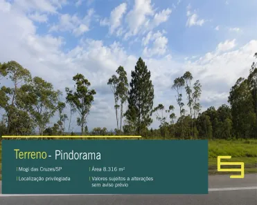à venda, 8317m² no Pindorama, Mogi das Cruzes