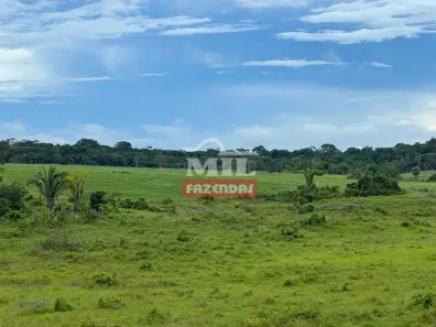 Fazenda/Sítio à venda, 500m² no Centro, Santarém