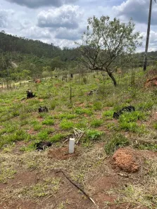 Lote/Terreno à venda, 600m² no Portão, Atibaia