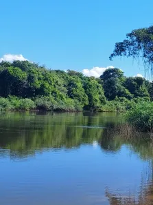 com 3 Quartos à venda, 3000m² no , Confresa