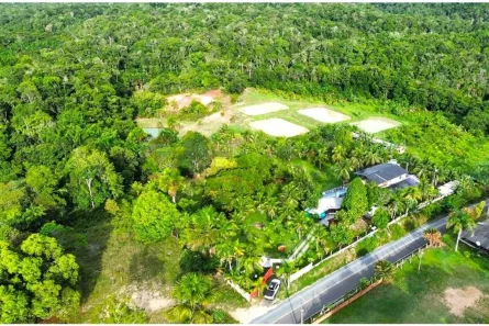 Fazenda/Sítio com 5 Quartos à venda, 2539m² no Rio Preto da Eva, Rio Preto da Eva