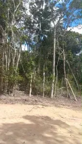 Lote/Terreno à venda, 1162m² no Arraial D'Ajuda, Porto Seguro