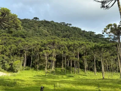 Lote/Terreno à venda, 210000m² no , Urubici