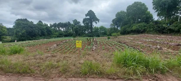 Lote/Terreno à venda, 608m² no , Picada Café