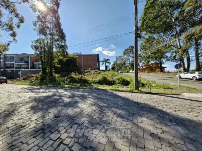 Lote/Terreno à venda, 477m² no Sanvitto, Caxias do Sul