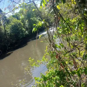 Fazenda/Sítio com 1 Quarto à venda, 77440m² no , Santo Antônio da Alegria
